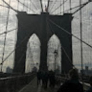 Meet your Posher, Alex